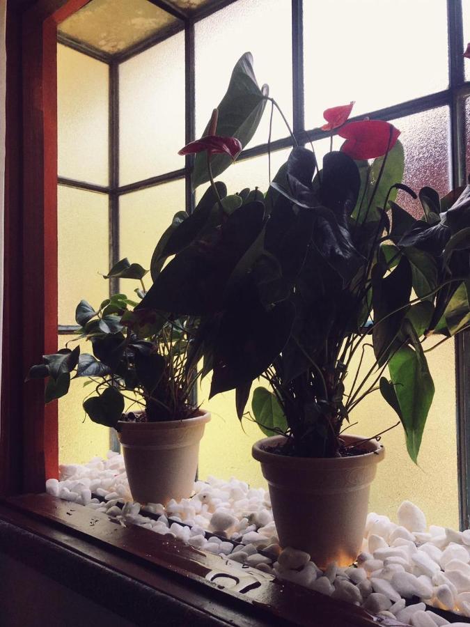 Pousada Canto Bella Terra 伊利亚贝拉 外观 照片