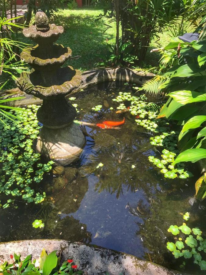 Pousada Canto Bella Terra 伊利亚贝拉 外观 照片