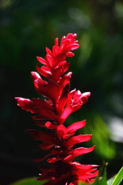 Pousada Canto Bella Terra 伊利亚贝拉 外观 照片